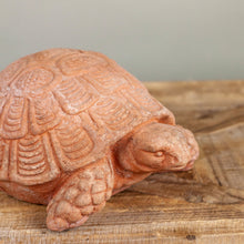 Load image into Gallery viewer, Tartaruga (Turtle)
