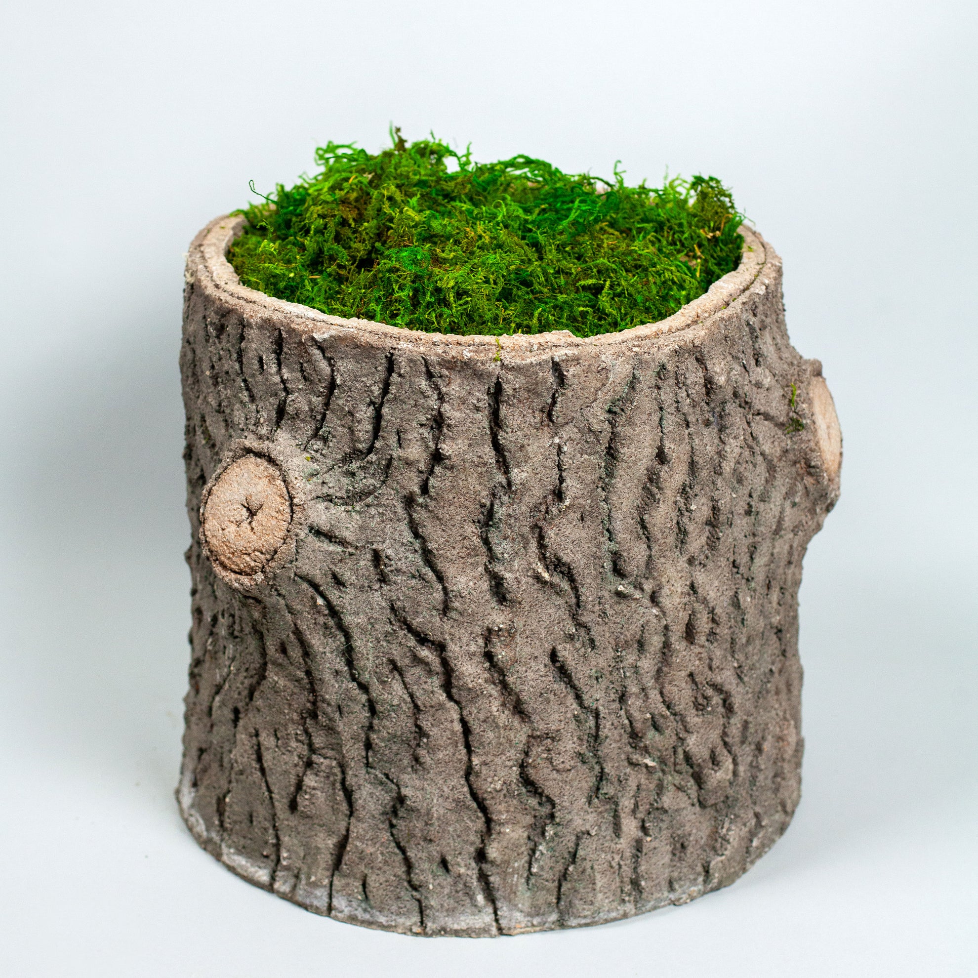French Faux Bois Small Stump Planter - hand sculpted cement