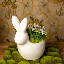 Load image into Gallery viewer, White Rabbit Cachepot, 11&quot;
