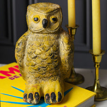 Load image into Gallery viewer, Hand-Painted Vintage Owl

