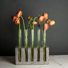 Load image into Gallery viewer, Concrete Floral or Propagation Vessel, 10 Tubes
