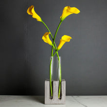 Load image into Gallery viewer, Concrete Floral or Propagation Vessel, 4 Tubes
