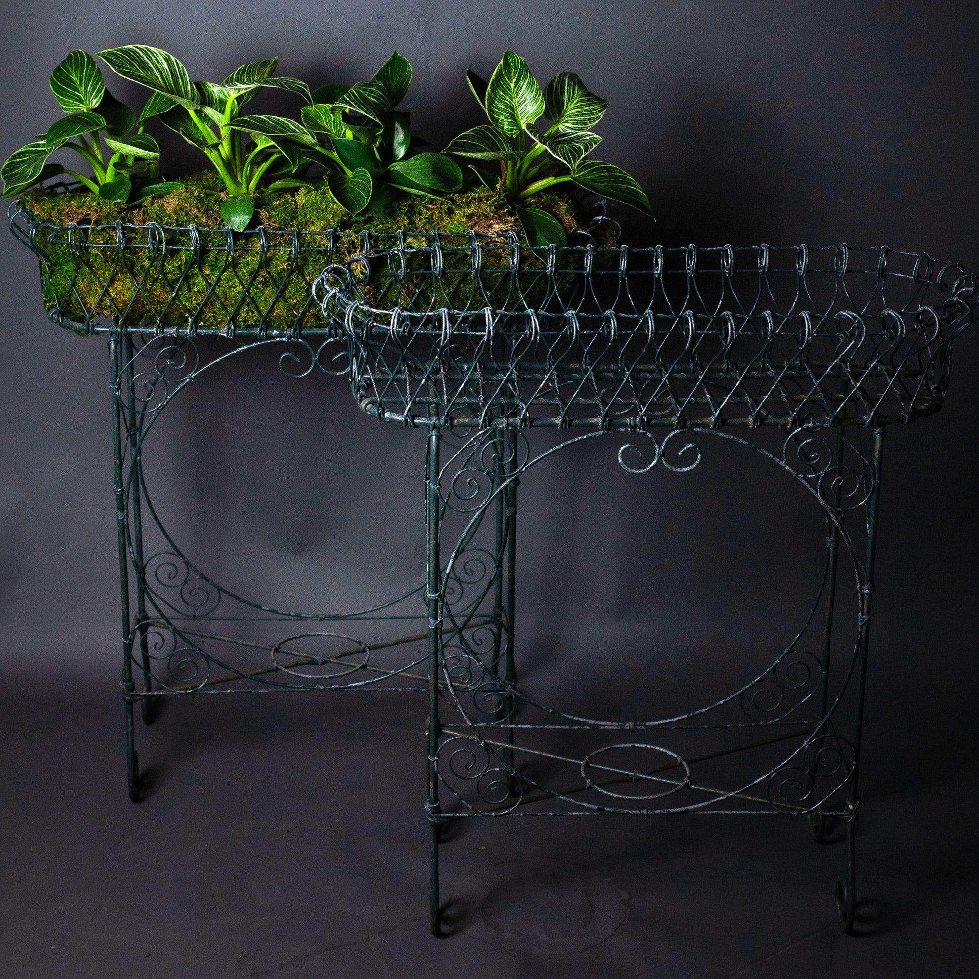 vintage indoor plant stand Vintage Green Wire Plant Stands – fleurdetroit