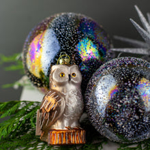Load image into Gallery viewer, Mystical Ornament Collection
