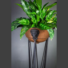 Load image into Gallery viewer, Neoclassical Style Iron and Copper Planter
