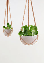 Load image into Gallery viewer, Macrame Hanging Planter
