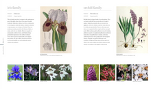 Load image into Gallery viewer, Smithsonian Flora: Inside the Secret World of Plants
