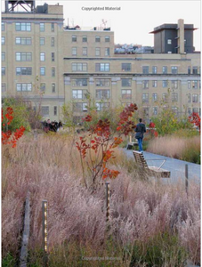 Gardens of the High Line: Elevating the Nature of Modern Landscapes
