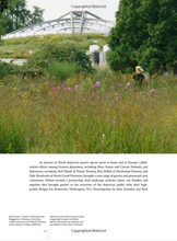 Load image into Gallery viewer, Gardens of the High Line: Elevating the Nature of Modern Landscapes
