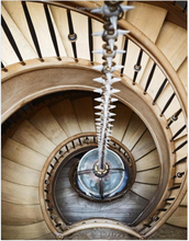 Load image into Gallery viewer, Mr. Ken Fulk&#39;s Magical World

