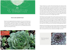 Load image into Gallery viewer, Sempervivum: A Gardener&#39;s Perspective of the Not-So-Humble Hens-and-Chicks
