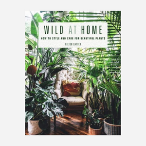Wild at Home: How to style and care for beautiful plants